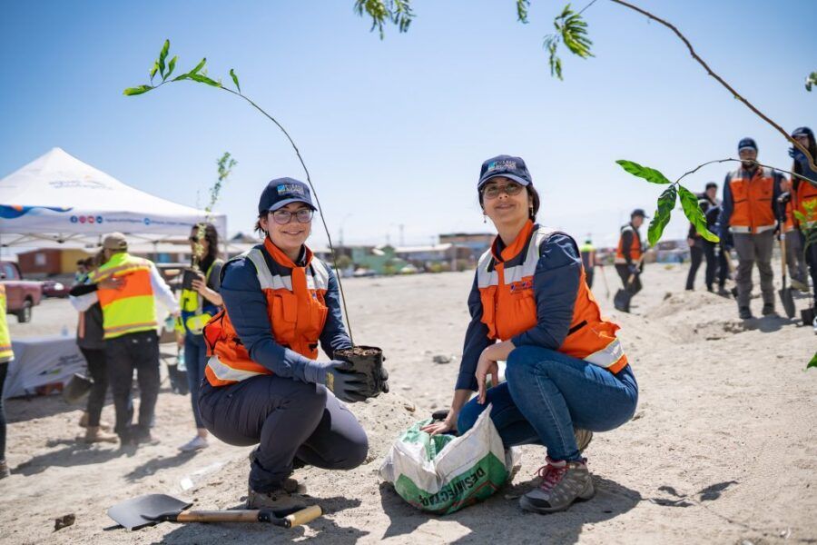 Dirección de Medio Ambiente de la Ilustre Municipalidad de Mejillones y la Corporación Nacional Forestal