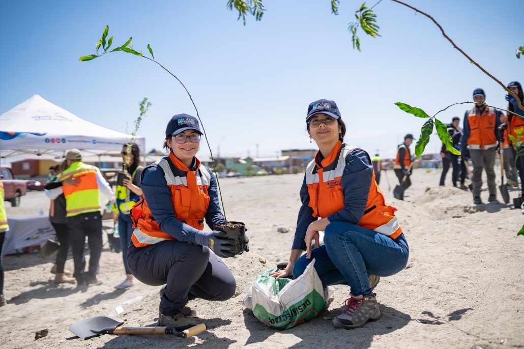Puerto Angamos participó en jornada de arborización comunitaria