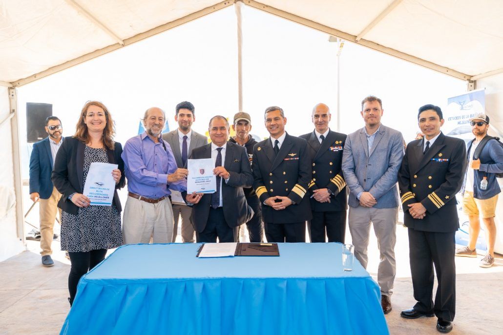 Suscriben inédito acuerdo para proteger a las ballenas en la bahía de Mejillones