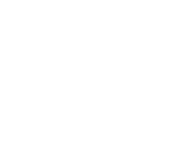 Socio estratégico