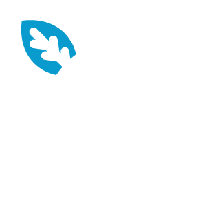 Medioambiente Puerto Angamos
